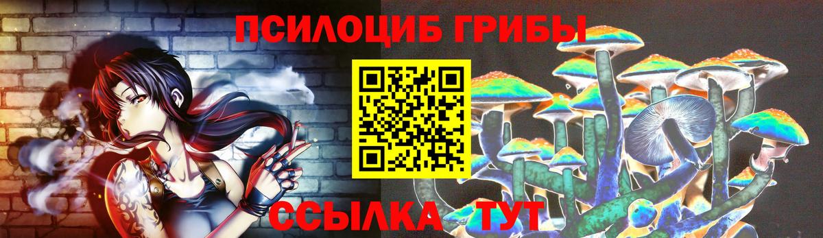 Батайск  Псилоцибиновые грибы Psilocybe  Вход с VPN 