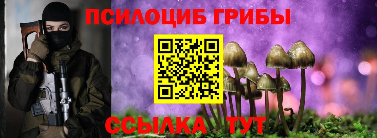 Псилоцибиновые грибы Psilocybine cubensis Батайск